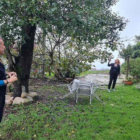 Alojamiento Casa Carlota Villadesuso Eksteriør bilde